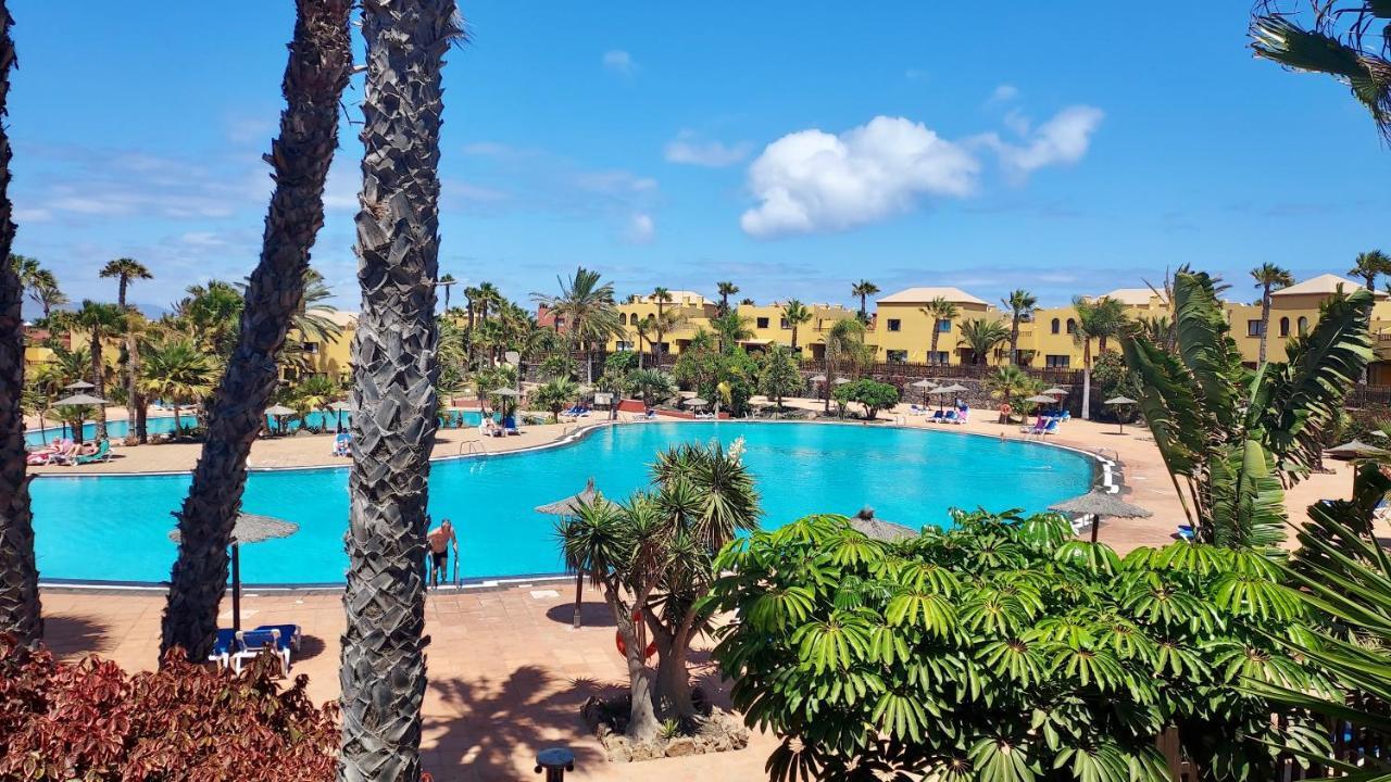 Tamarindo 27 Pool Front Next To The Dunes, Free Wifi Corralejo Exteriör bild